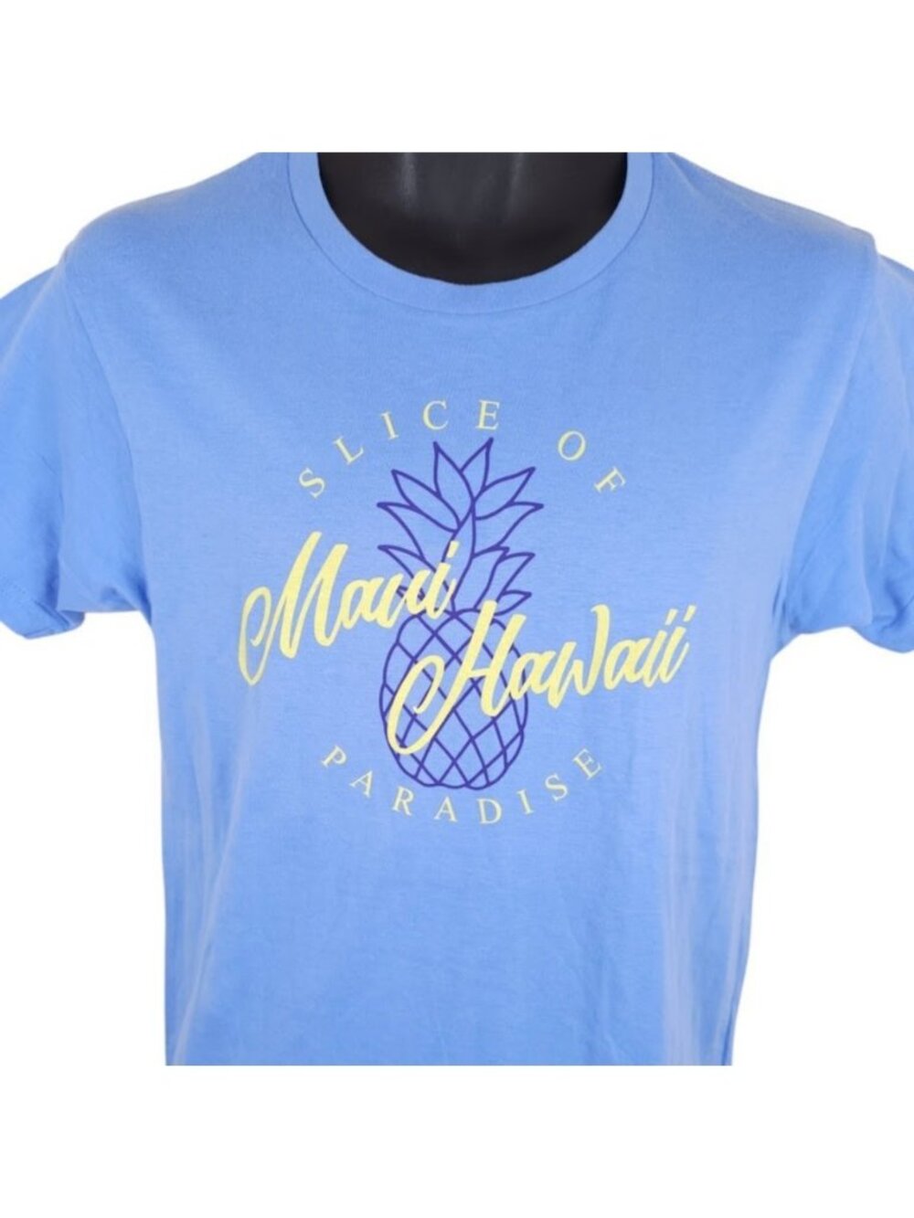 Maui Hawaii T Shirt Mens Size Small Blue Slice Of Paradise Pineapple Destination
